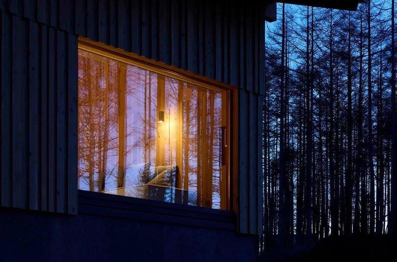Timber-framed window reflecting interior light among snow-dusted pines at dusk