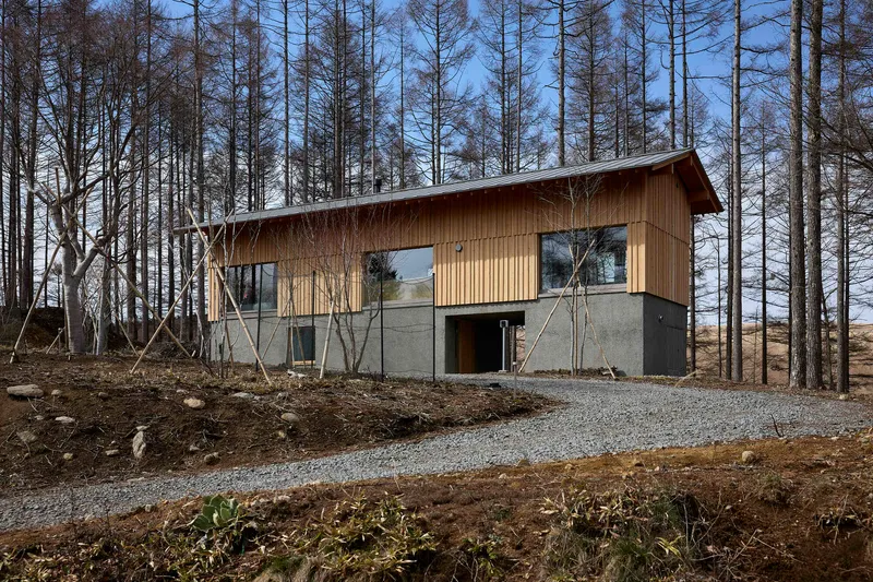 Two-story timber clad volume on concrete plinth set among bare trees with gravel access path