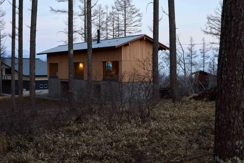 Timber and concrete structure viewed through bare tree trunks at dusk with interior lights on