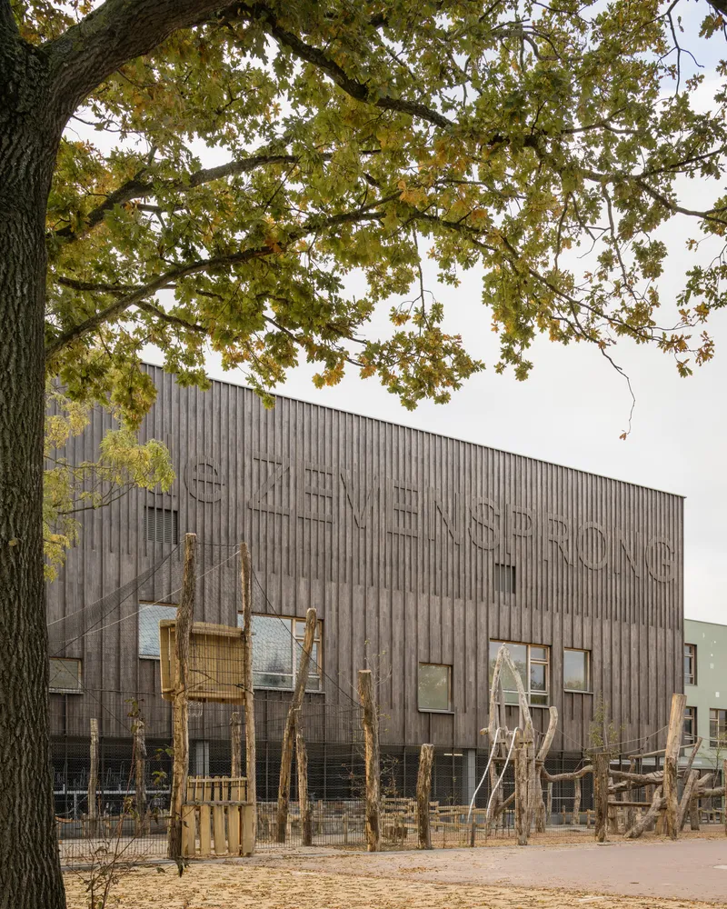 Three-story timber-clad facade with raised lettering viewed through oak branches in autumn foliage