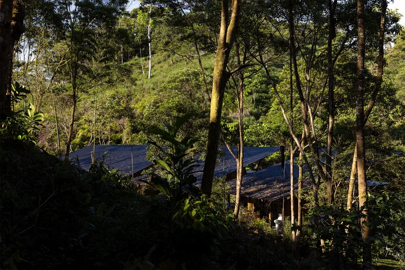Pavilions with corrugated metal roofs nestled among hillside vegetation in dappled sunlight