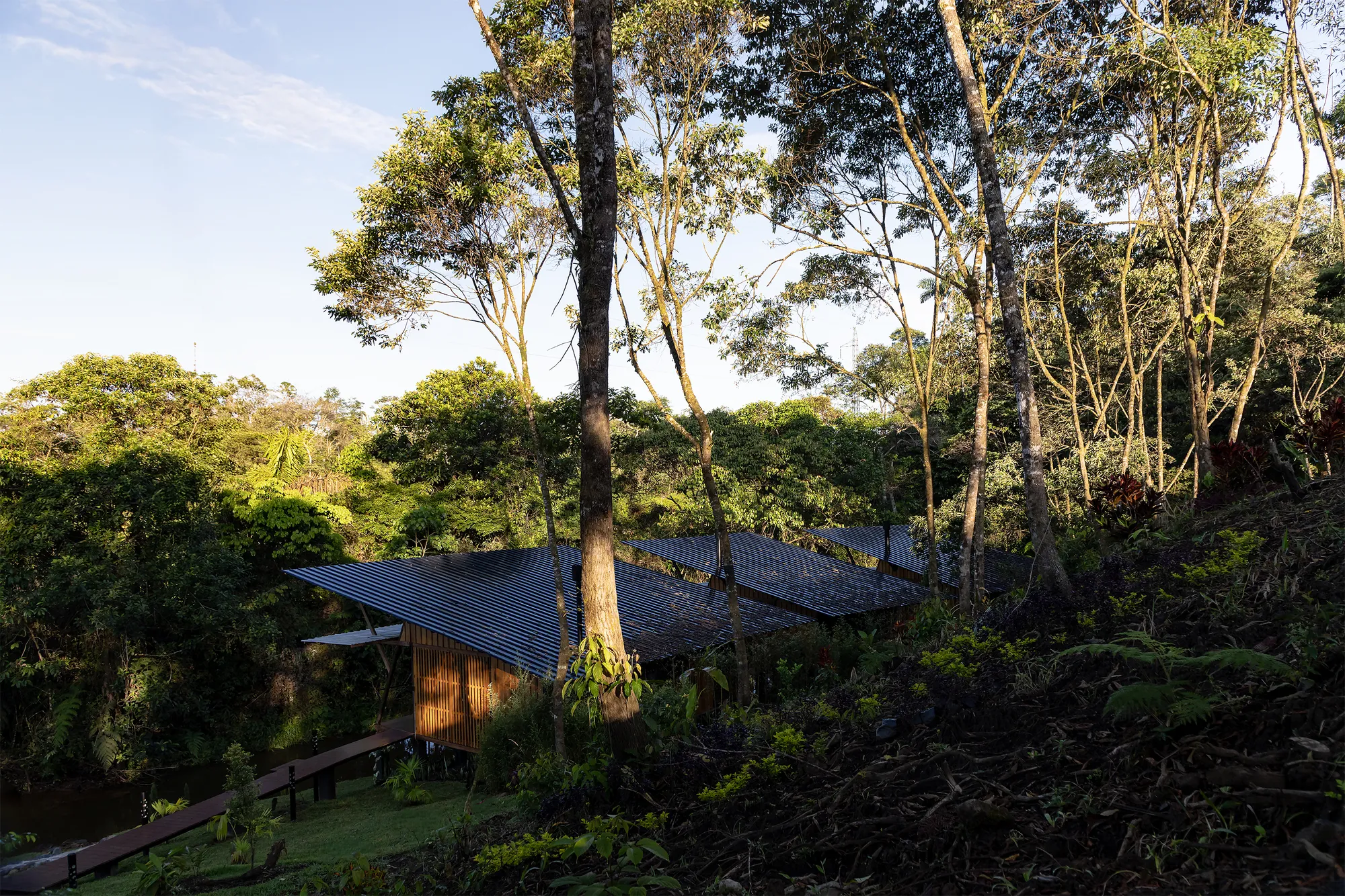 Mestizo Estudio Arquitectura Lifts a Timber Refuge into Ecuador's Forest Canopy