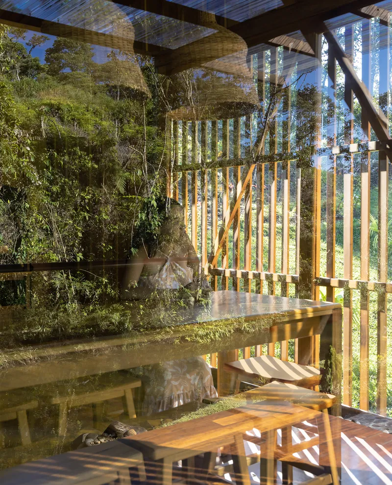 Interior view through glass walls showing timber furniture and vertical wooden screens framing the forest beyond