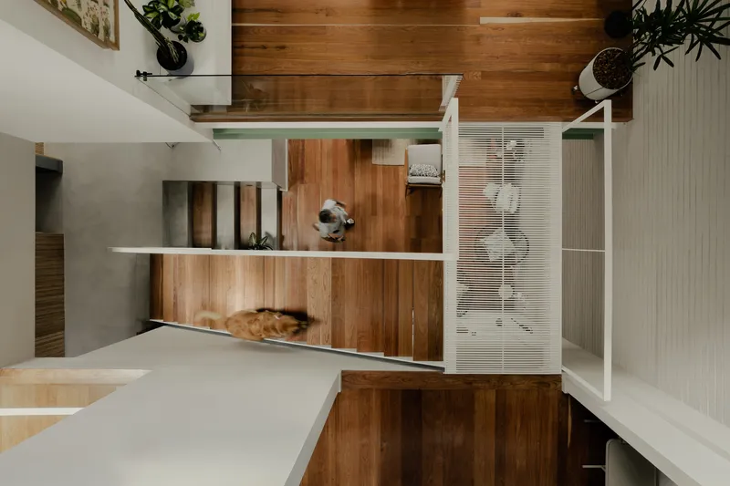 View across white walkways connecting timber-clad volumes in the multi-level interior