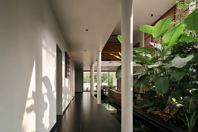 Corridor with white columns casting shadows along the wall beside an interior planting bed