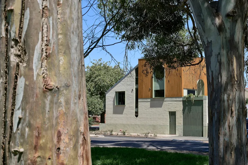 Street view of the timber-clad upper volume and rendered base framed by eucalyptus tree trunks