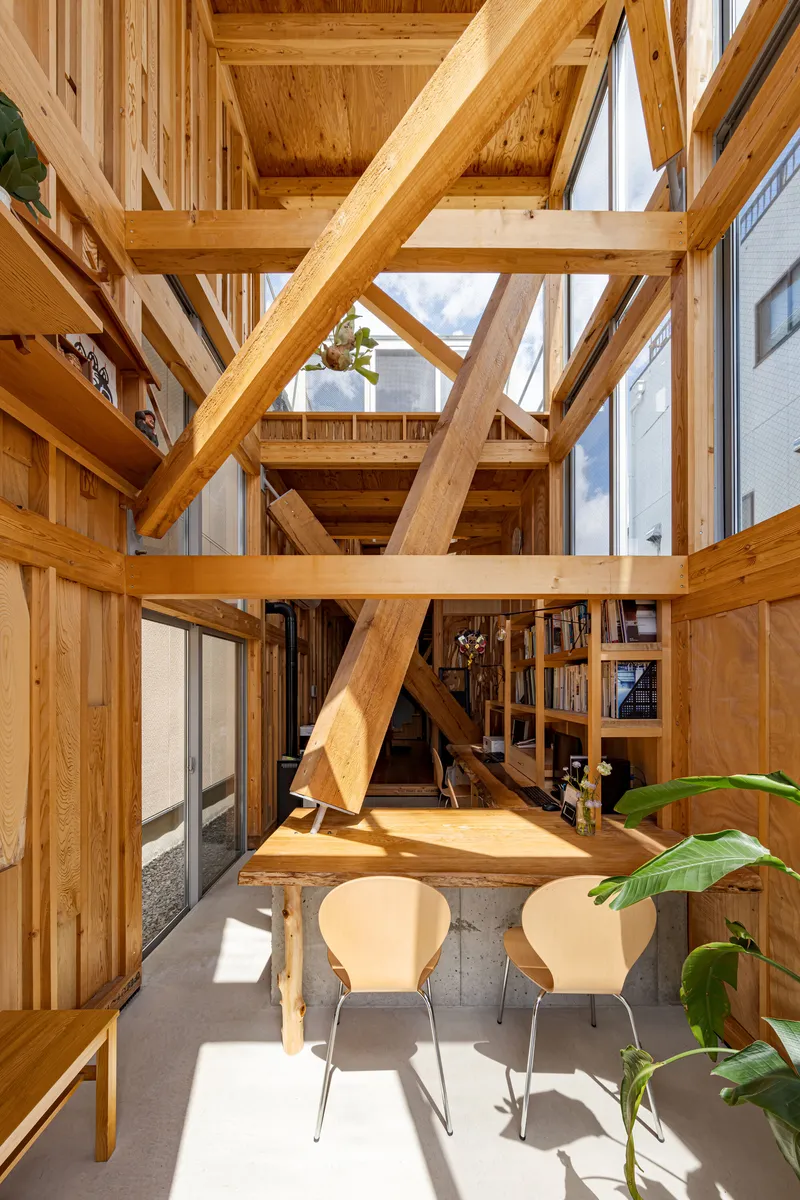 Double-height interior space with exposed timber frame and diagonal bracing illuminated by bright sunlight