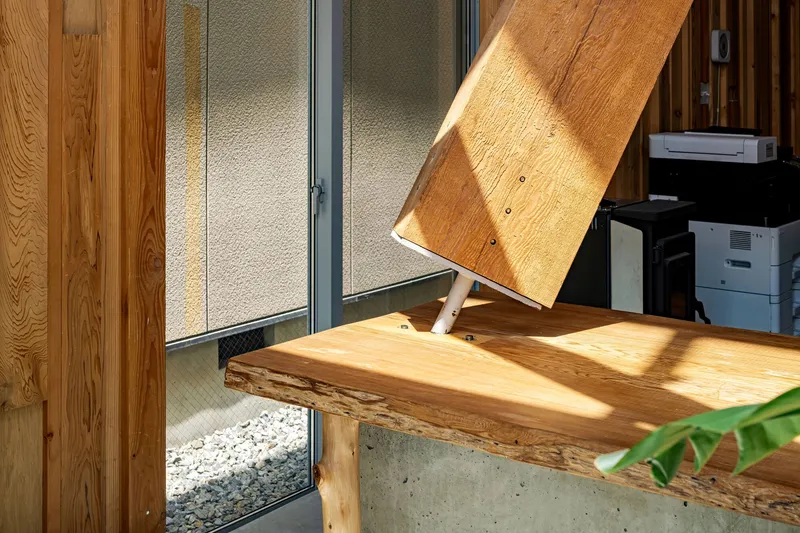 Live-edge timber shelf cantilevered from a concrete base with sunlight streaming through textured glass doors