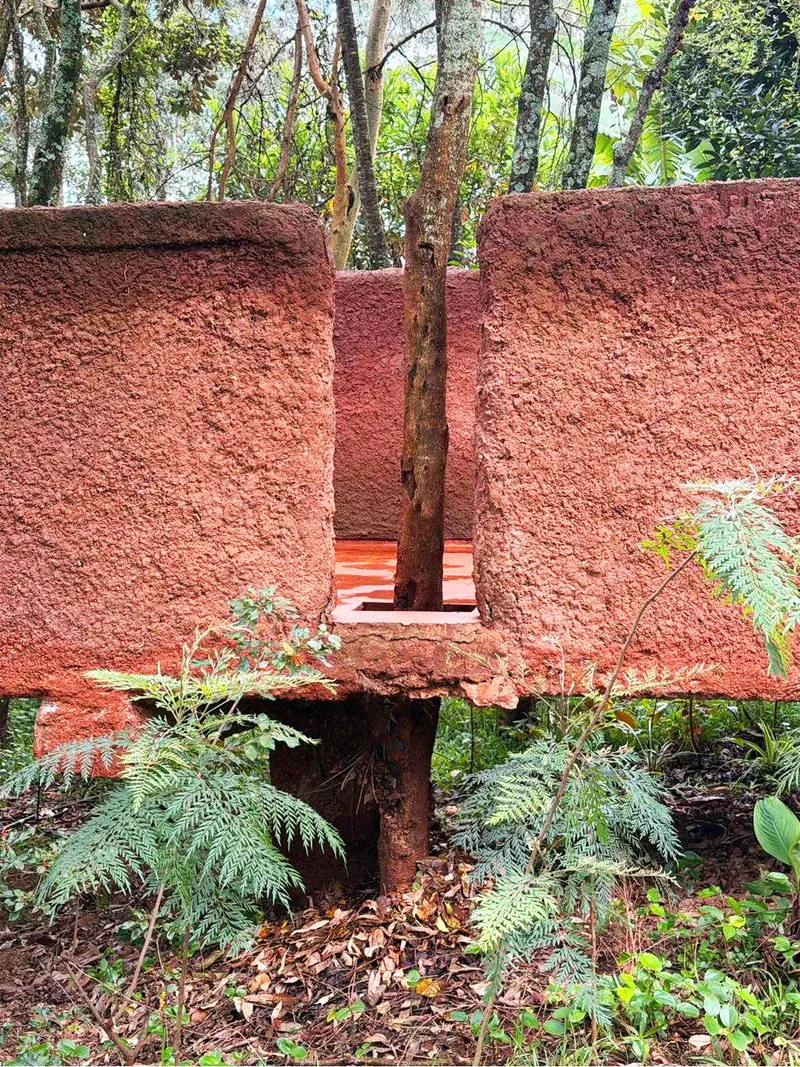 Red earth wall wrapping around a tree trunk within a forest clearing with ferns
