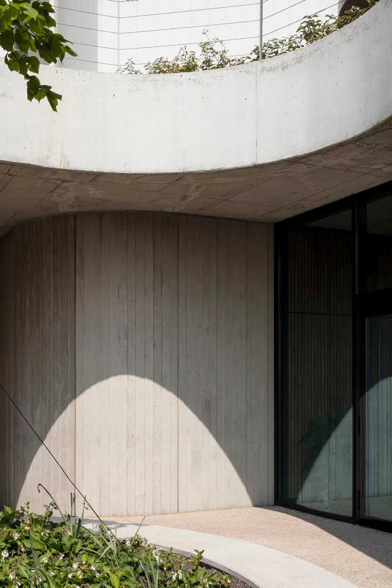 Curved concrete soffit casting shadow over vertical timber wall beside planted bed
