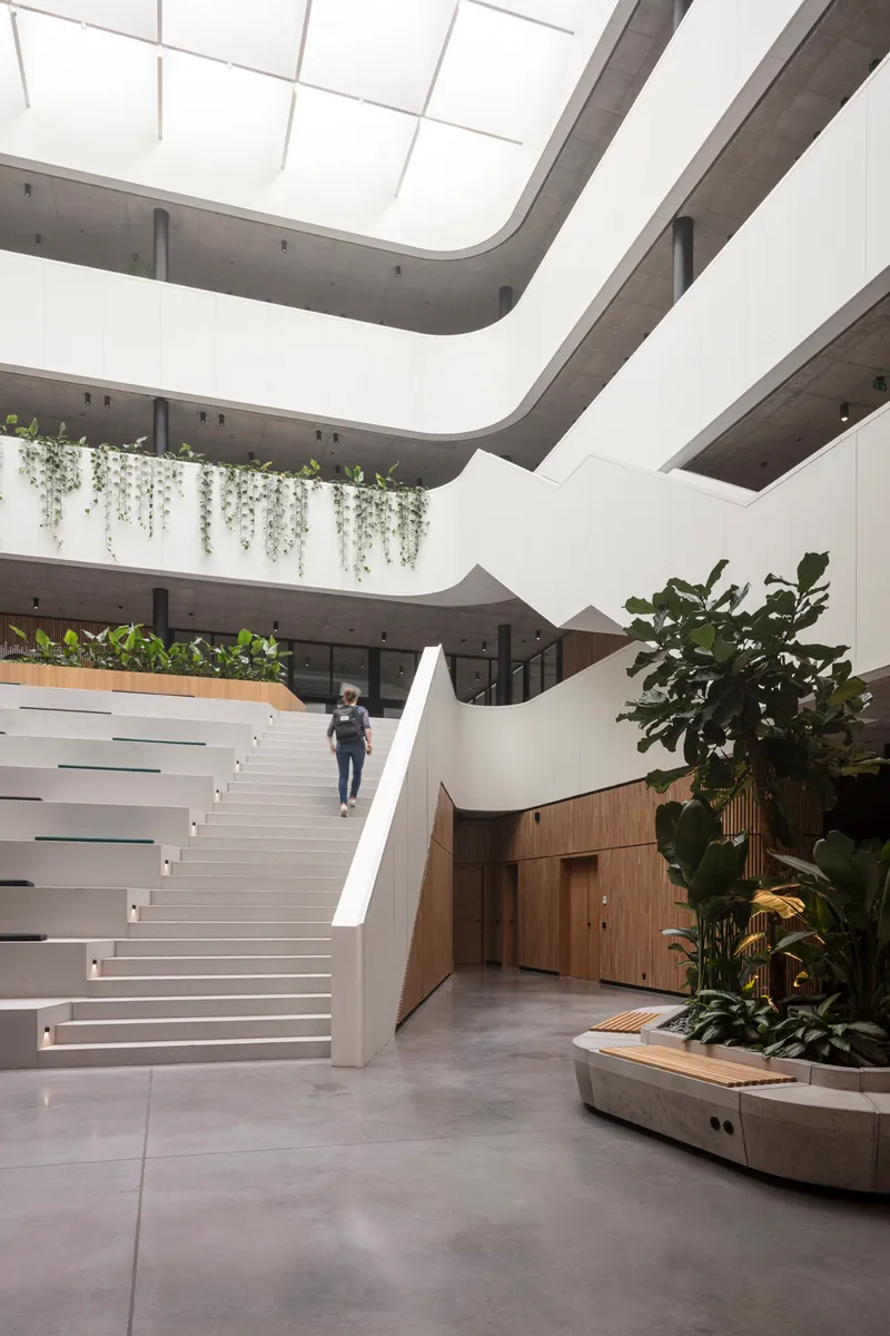 Central staircase in white concrete with a figure ascending, flanked by planted beds and timber-clad walls