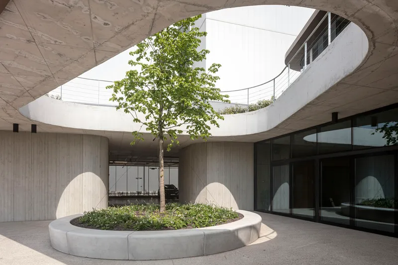 Circular courtyard planter with a tree at its center, viewed from beneath a curved concrete overhang