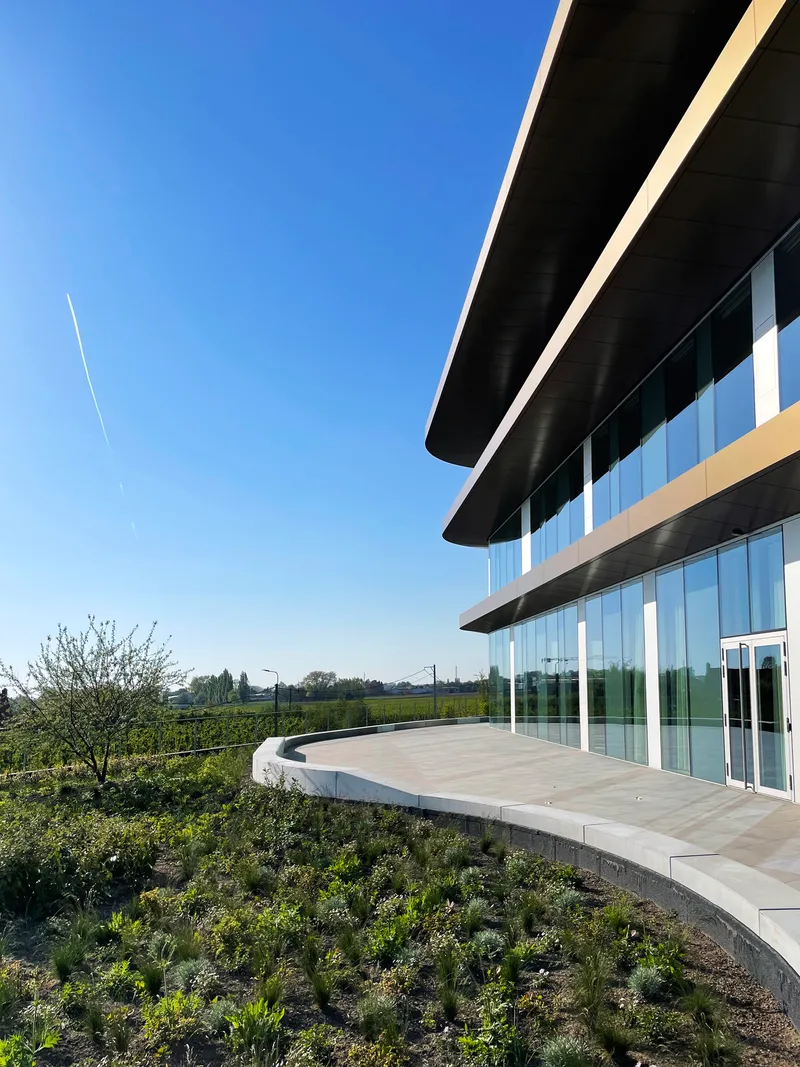 Curved terrace deck with native planting beds extending toward open fields under a clear blue sky