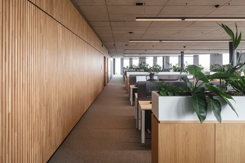 Open office corridor with timber slat wall, exposed concrete ceiling, and workstations with planted partitions