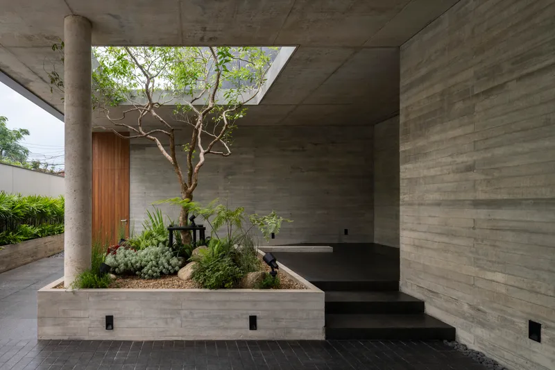Covered entry terrace with planted bed containing a specimen tree under a concrete skylight