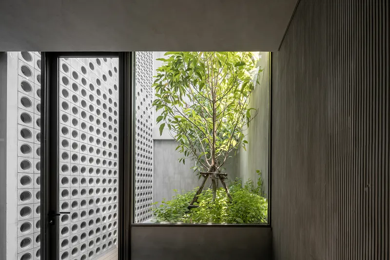 Interior view through floor-to-ceiling glazing into a planted courtyard with a young tree and perforated screen