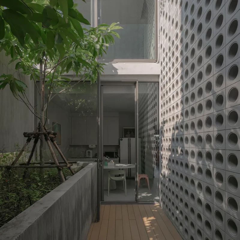 Timber deck corridor alongside perforated concrete block wall with young tree in planted bed