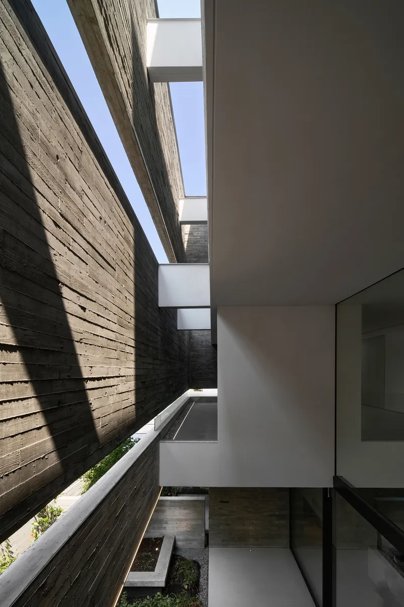 Narrow courtyard with board-formed concrete walls and planted beds under linear skylights
