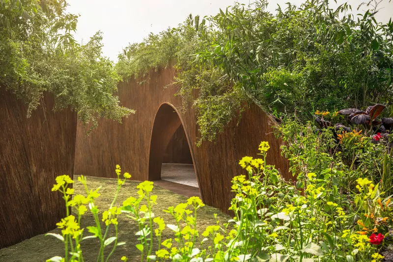 Arched timber wall opening framed by overhanging trees and yellow flowering plants in afternoon light