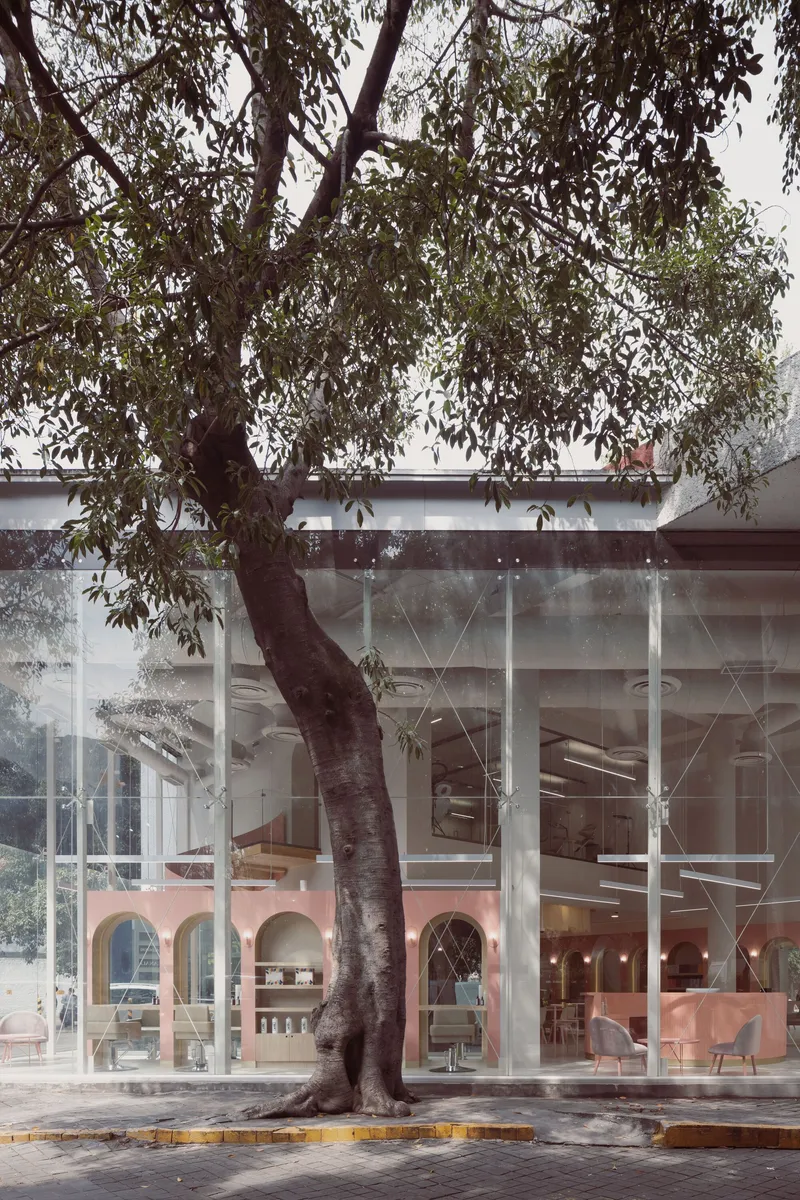 Street facade with tall glass panels framing the interior stair, a large tree in the foreground