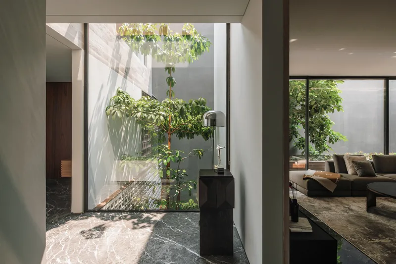 Interior courtyard with a single tree and dark marble flooring illuminated by filtered daylight