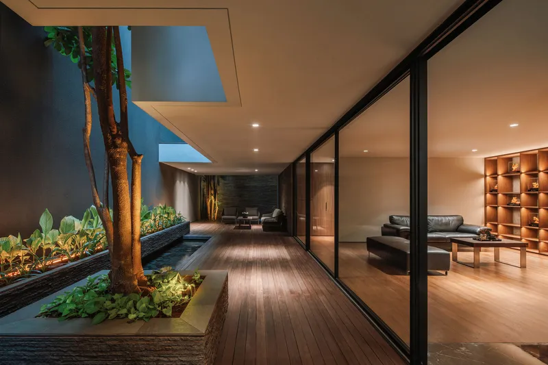 Interior courtyard with planted trees beside a glazed living room at night