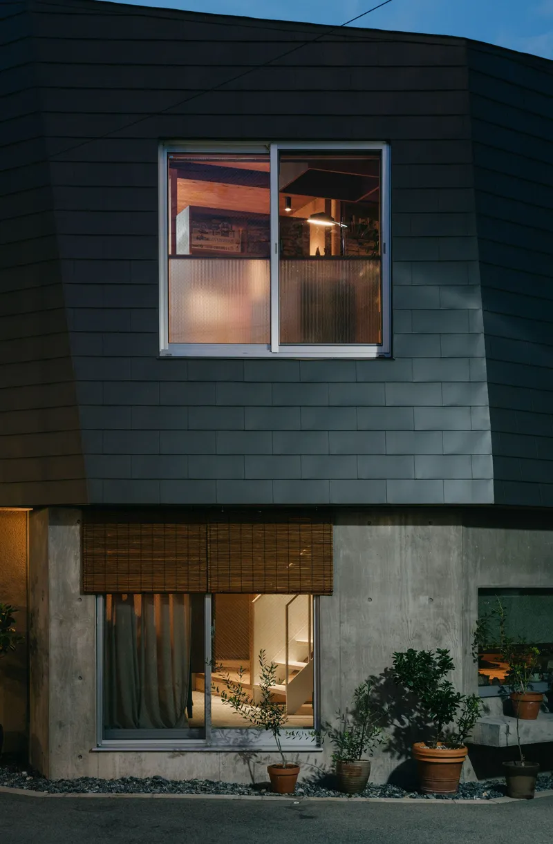 Facade with dark fiber-cement cladding over concrete base and potted plants at twilight