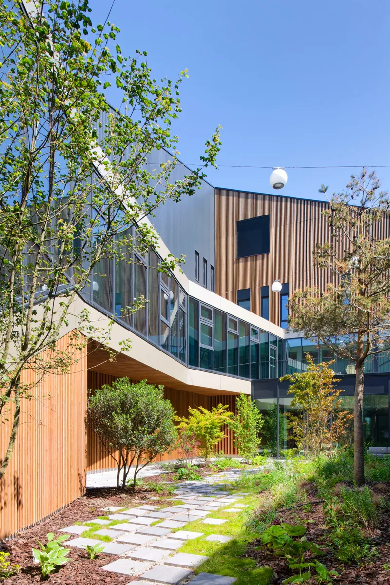Courtyard garden path with pavers and moss leading past timber-clad walls and young birch trees