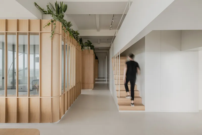 Corridor with timber slat partition topped with trailing greenery and a person walking past