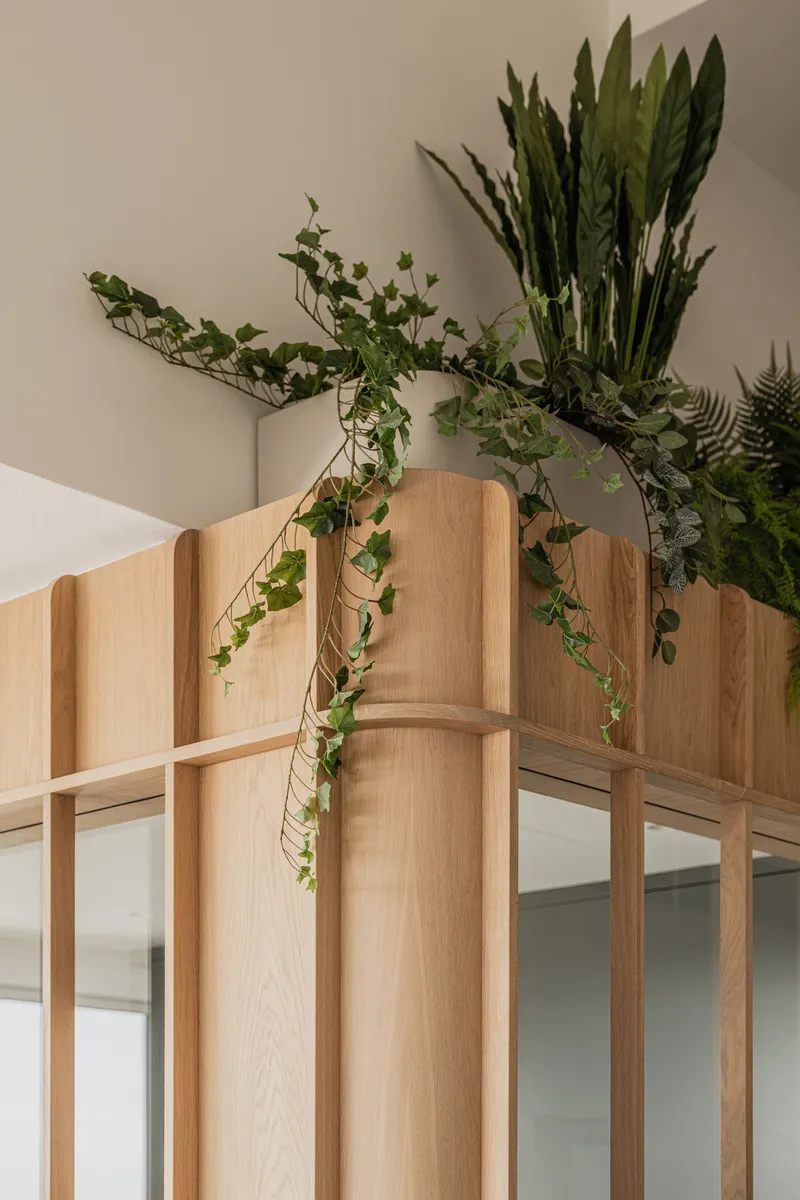 Detail of timber partition corner with trailing ivy and snake plants overhead