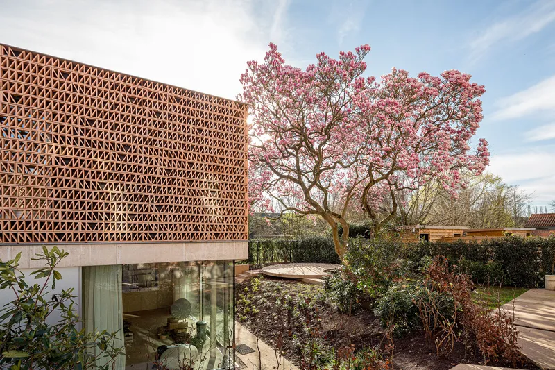 Perforated brick screen and planted courtyard with flowering magnolia tree in spring bloom
