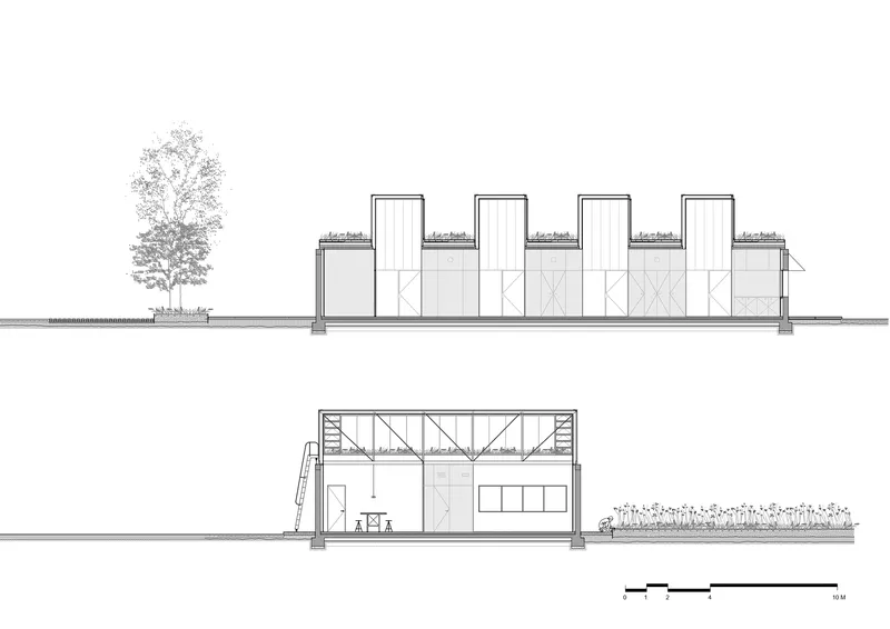 Elevation drawings showing sawtooth roof clerestories and exposed truss structure with adjacent tree