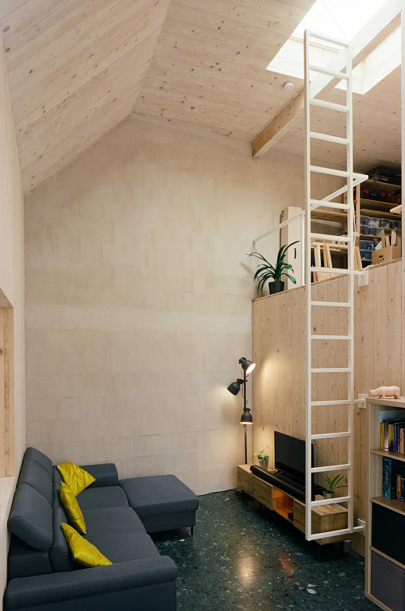 Double-height living space with white ladder accessing mezzanine level beneath a plywood gable ceiling and skylight
