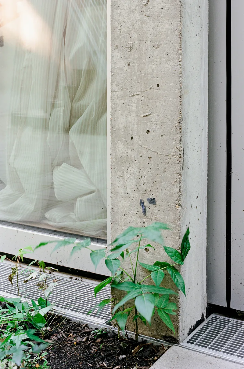 Concrete wall edge with planted bed at the base and sheer curtain visible through glazing