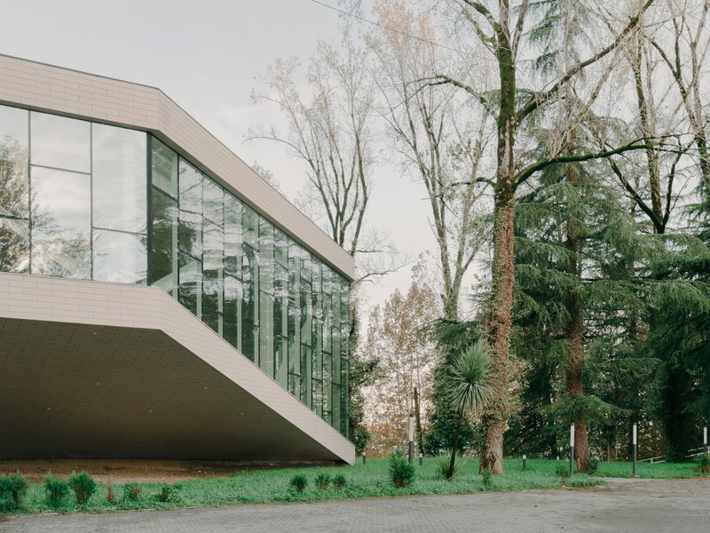 Angled view of the cantilevered glass corner beneath bare winter trees and evergreens in the park