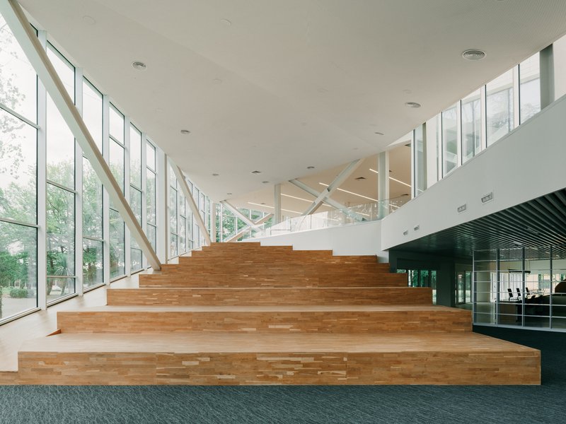 Wide timber grandstand staircase between full-height glazed walls overlooking trees in soft daylight
