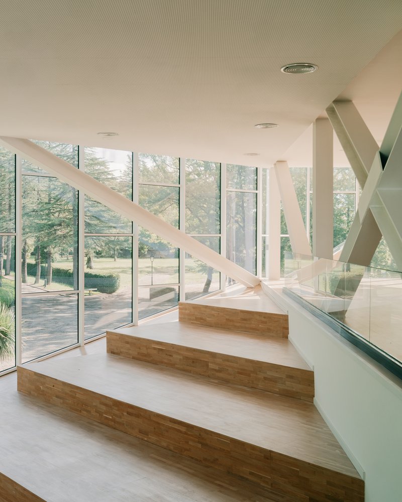 Wide timber stairs with glass balustrade descending toward glazed facade and tree-lined exterior