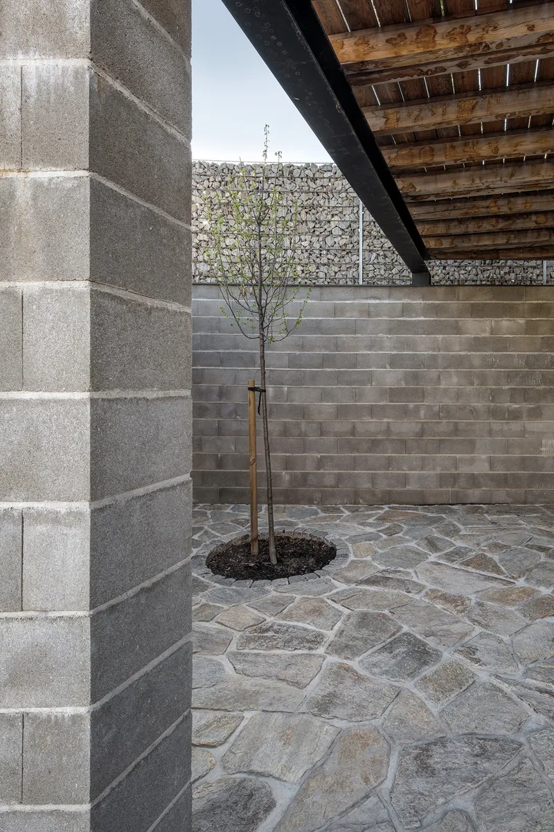 Concrete block courtyard with young tree in stone paving beneath exposed timber decking overhead