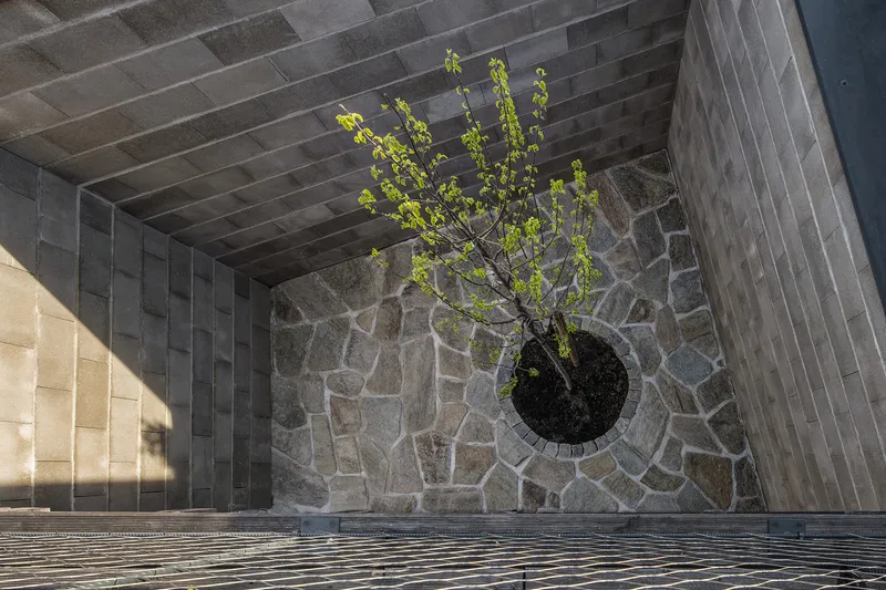 Aerial view of courtyard with circular tree planter set in irregular stone paving