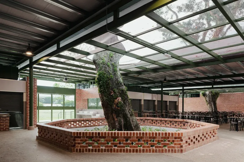 Interior courtyard with hexagonal brick planter encircling preserved tree trunk under steel canopy