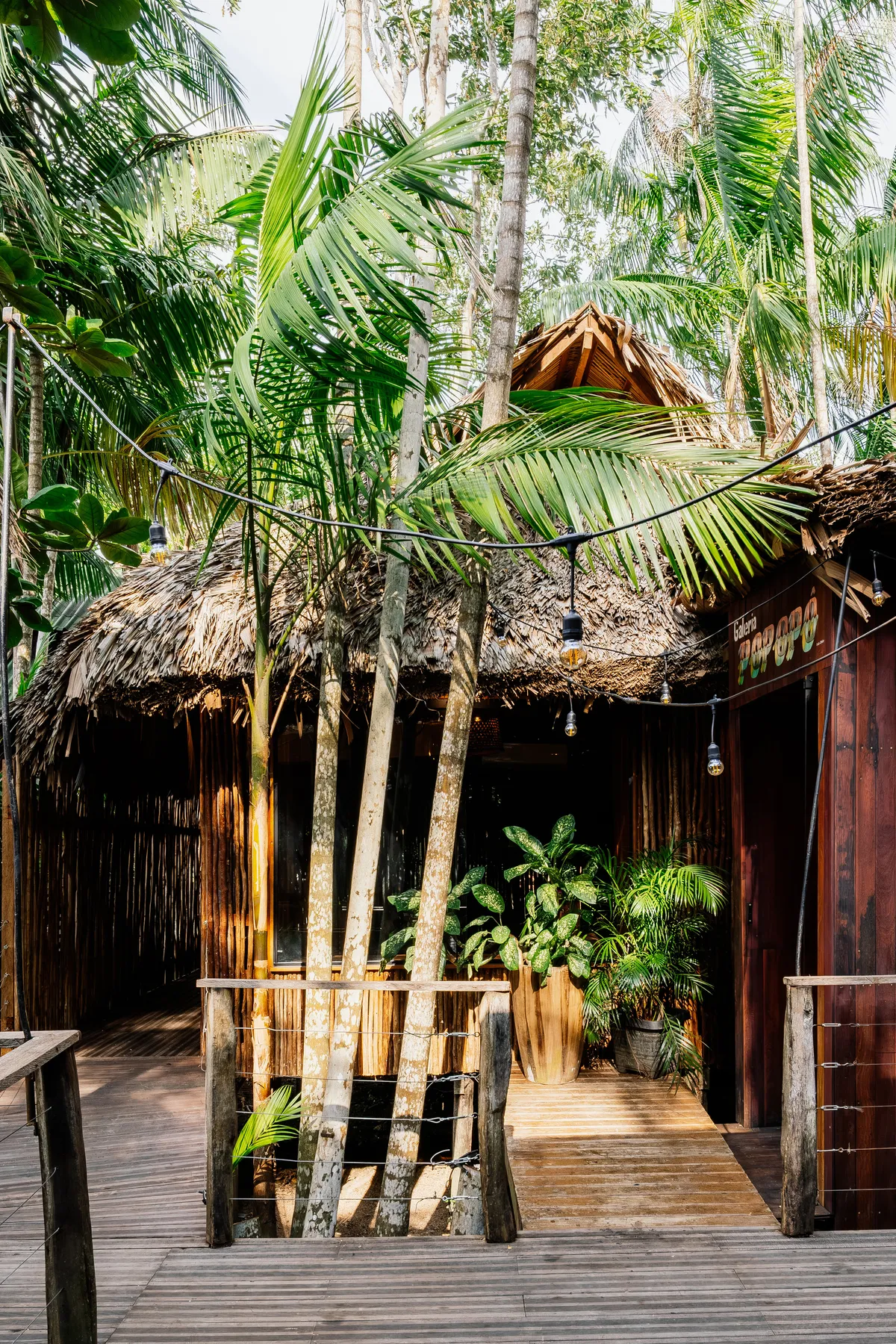 Guá Arquitetura Builds the First Art Gallery on a Remote Amazonian Island from Bamboo and Palm Thatch