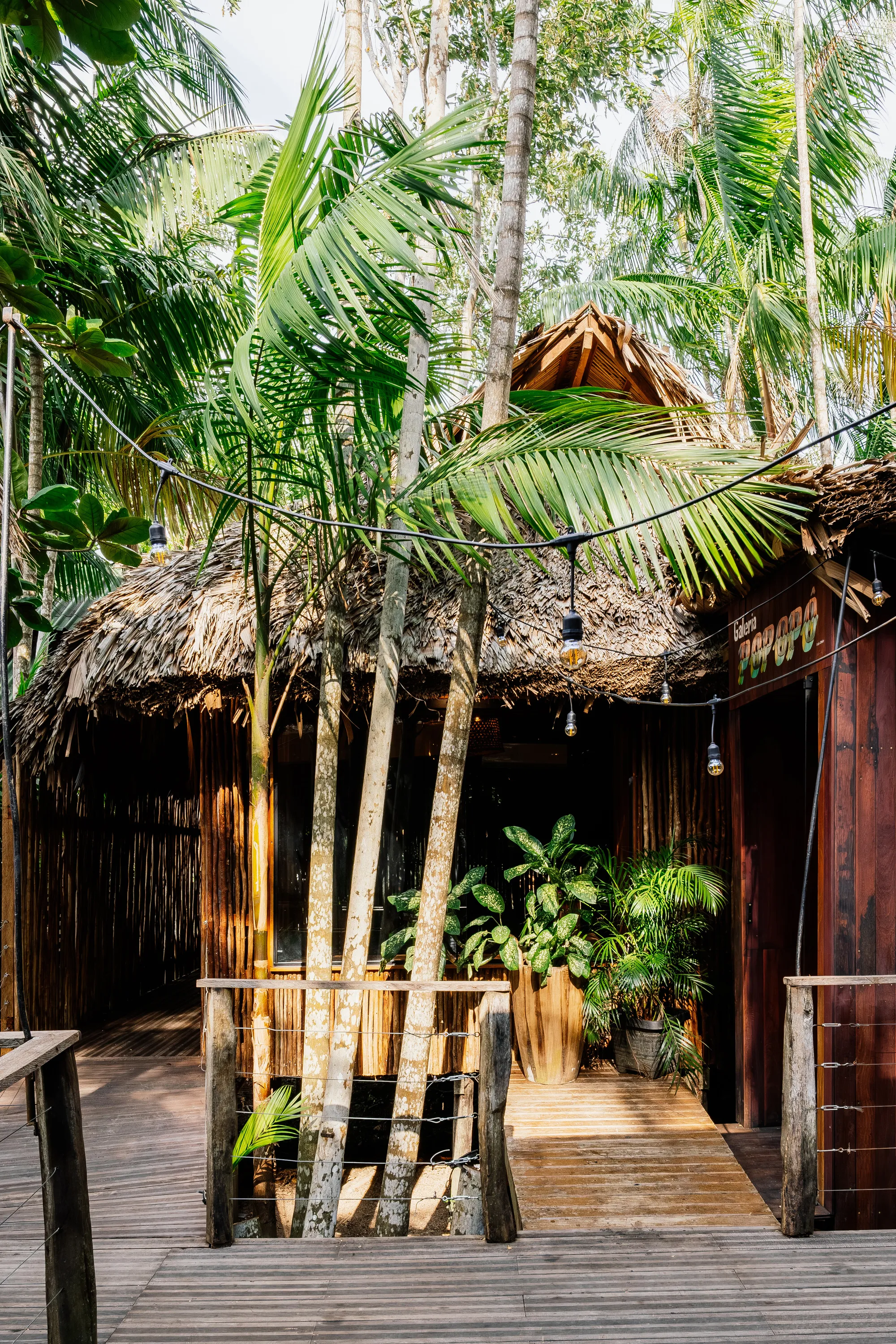Guá Arquitetura Builds the First Art Gallery on a Remote Amazonian Island from Bamboo and Palm Thatch
