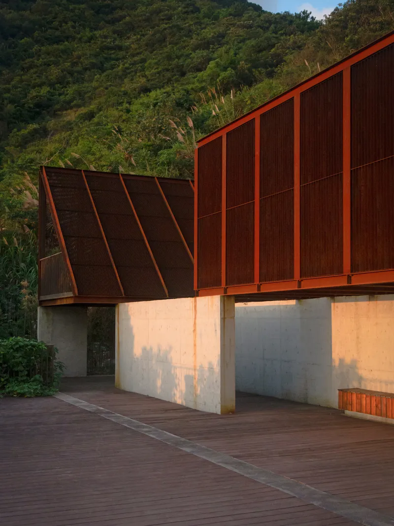 Angled timber roof panels with orange steel frames above concrete walls at golden hour