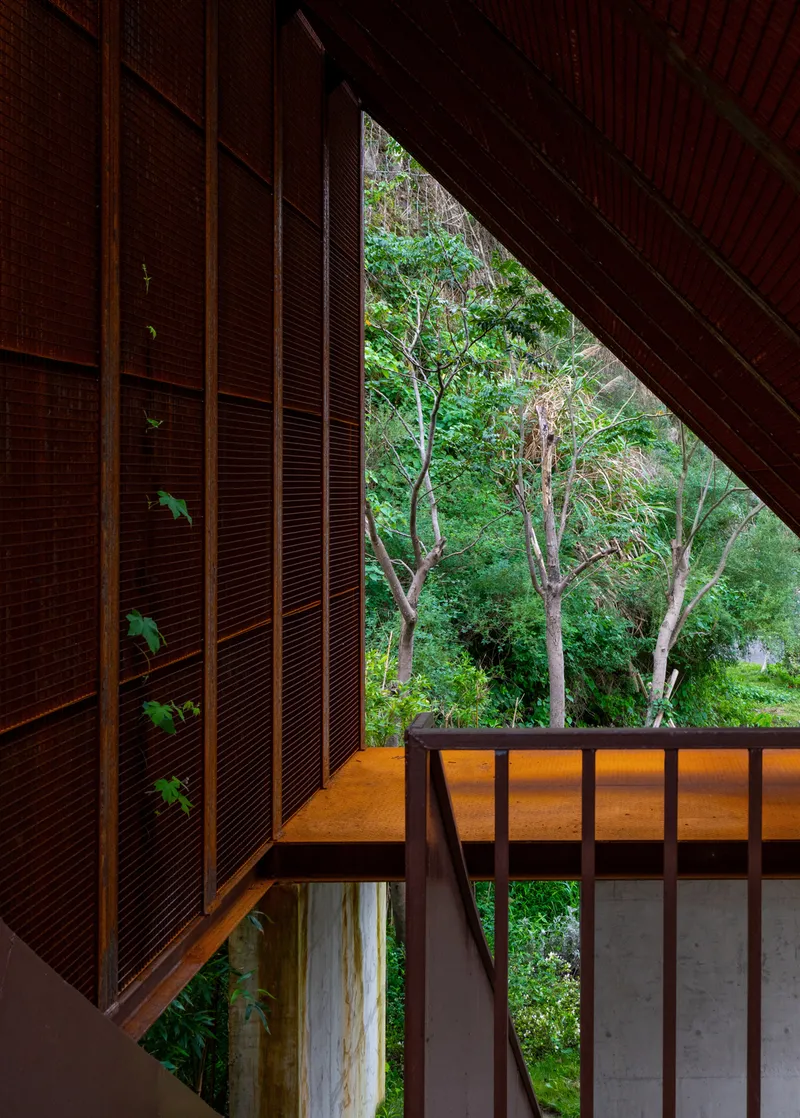 Interior view through perforated metal screen wall with vines growing through the mesh