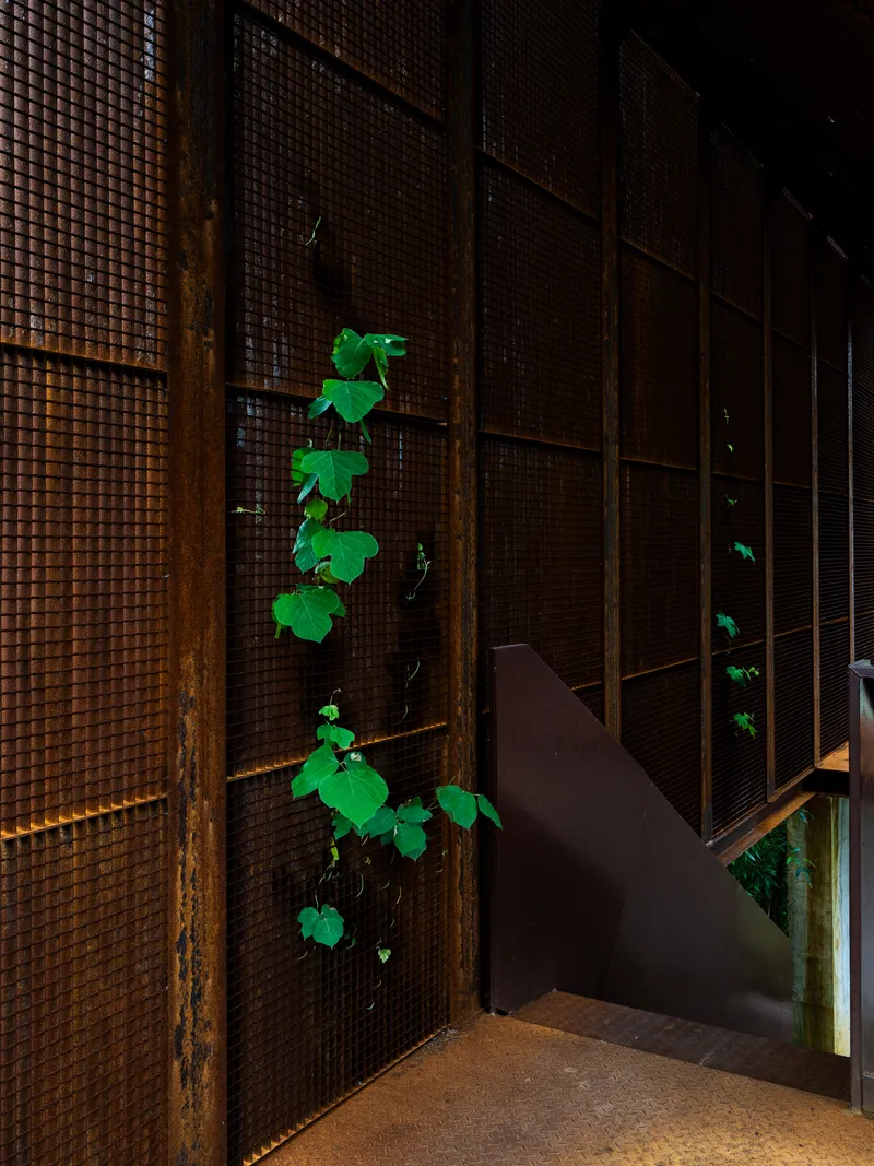 Descending stairwell framed by perforated metal screens with climbing vines lit at night
