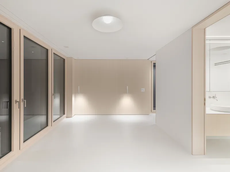 White hallway with flush ceiling light and timber-framed glazing looking onto bathroom