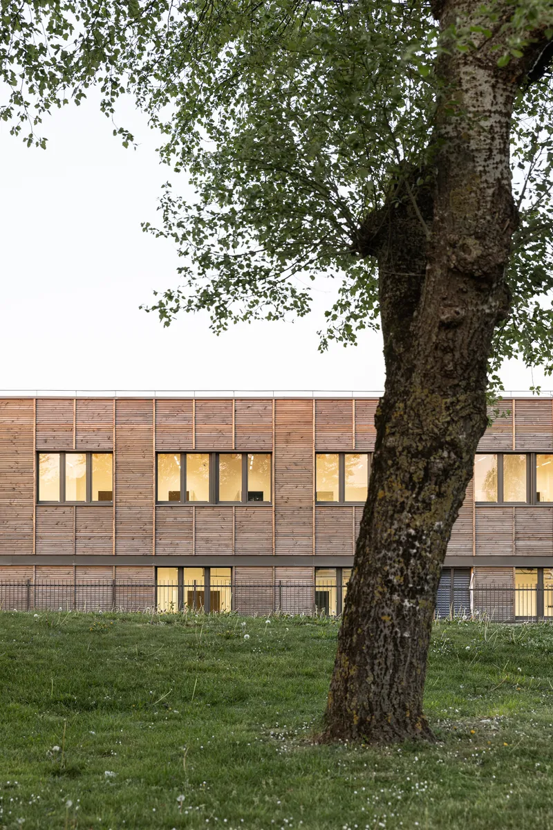 Horizontal timber facade with illuminated windows at dusk viewed past a mature tree trunk in the foreground