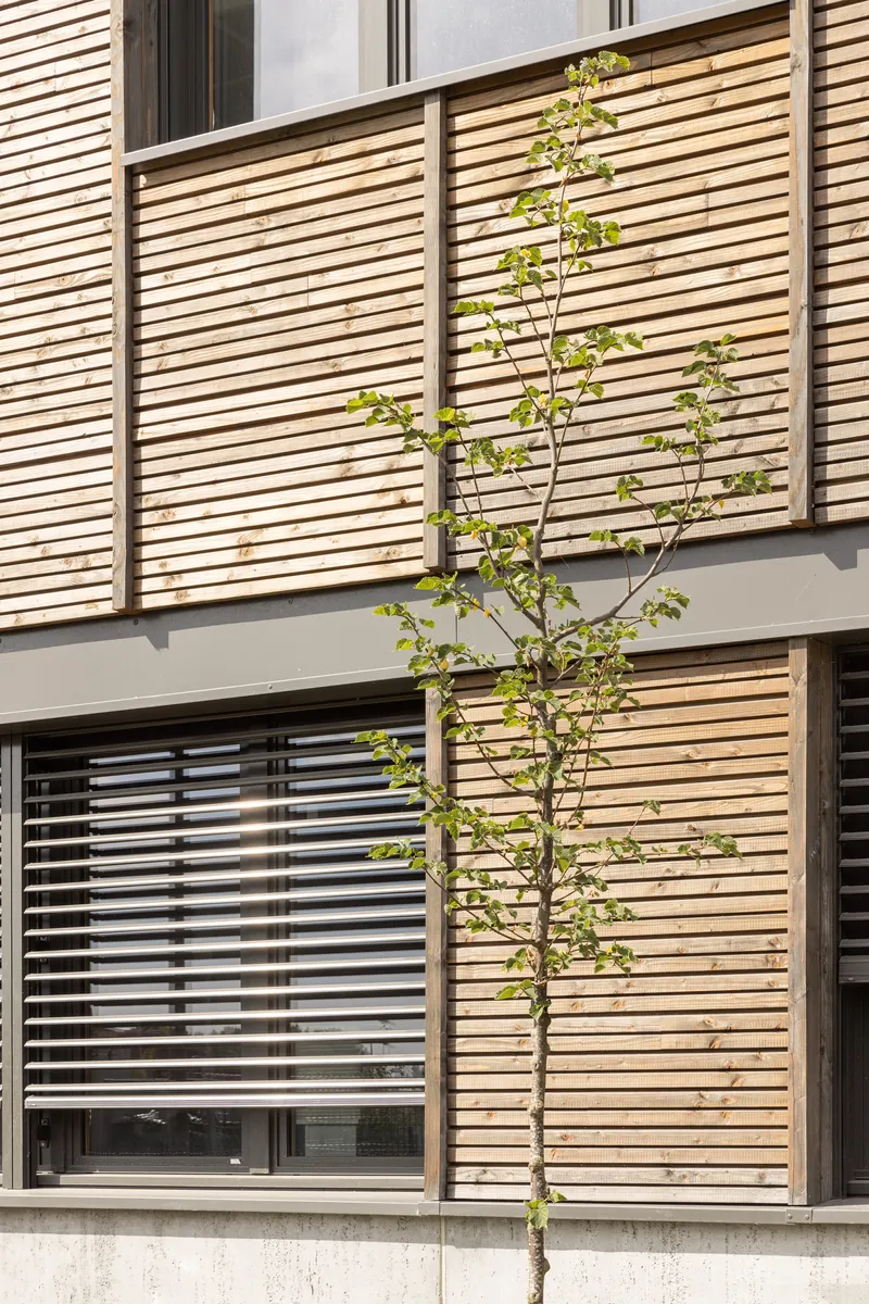 Horizontal timber slat screens with a young sapling planted against the concrete plinth below