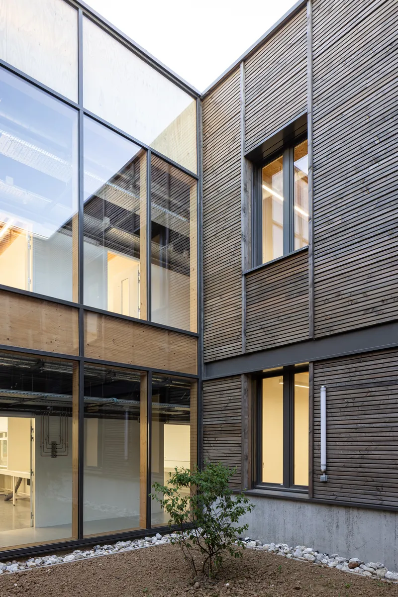 Courtyard view showing horizontal wood slat cladding and floor-to-ceiling glazing with a small planted shrub