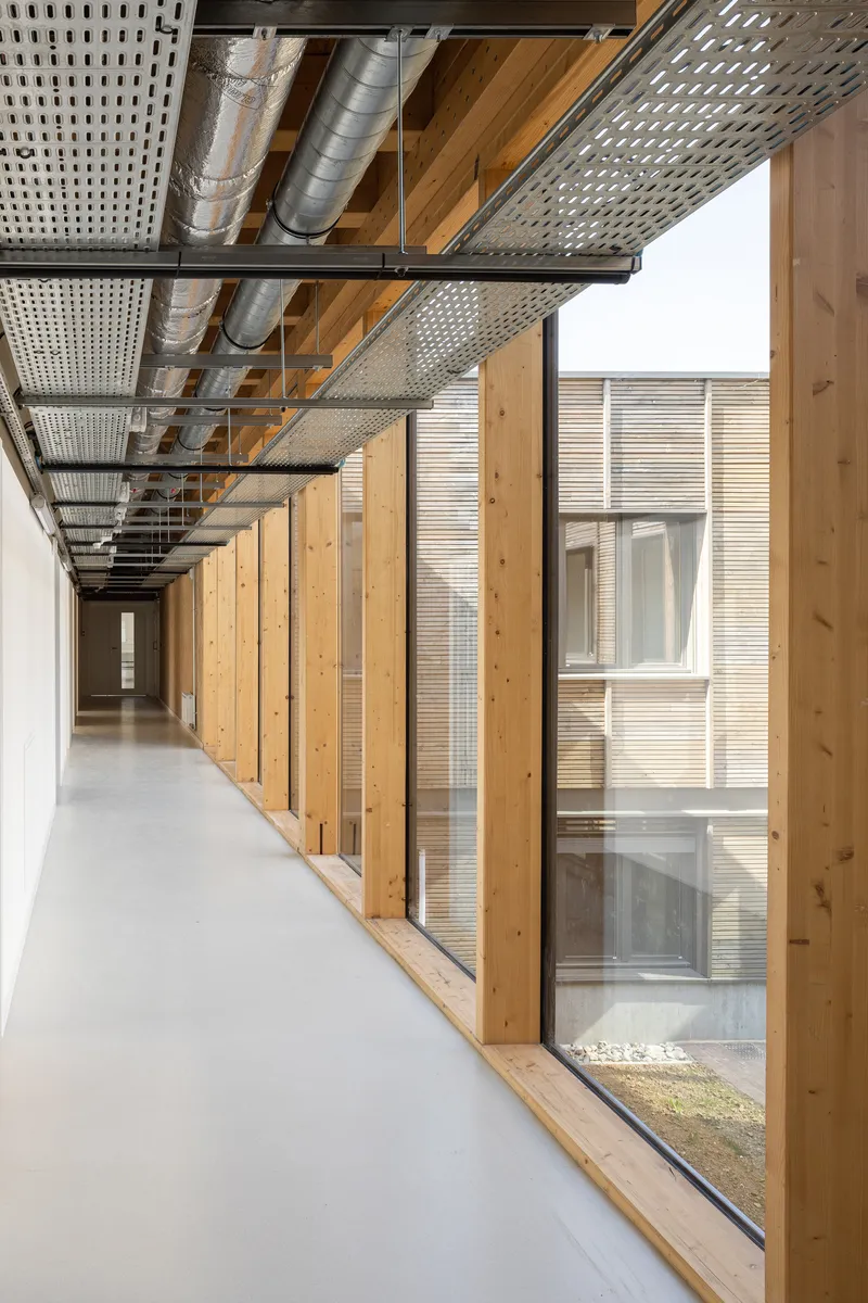 Interior corridor with exposed timber columns and perforated metal ceiling panels alongside a courtyard glazing